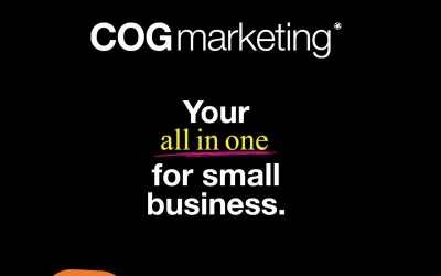 Riding the Wave: How COG Marketing Helped Strengthen Elouera Boardriders Club’s Digital Identity